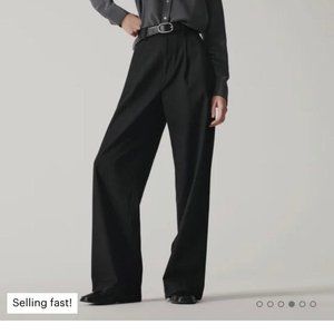 Everlane Way-High Drape Pants